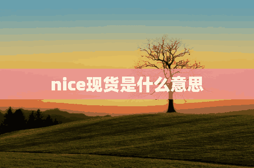 nice现货是什么意思(nice现货是什么意思啊)